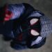Campagna Avviata da Appassionati di Spider-Man per Preservare l’Integrità del Spider-Verse