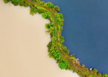 Esplorando i contrasti: India vs Indonesia