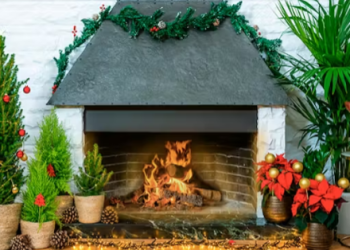 Perché Scegliere Be.Green per Prodotti Sostenibili e di Alta Qualità