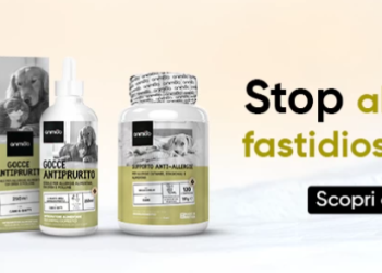 Animigo: Prodotti di Qualità per la Salute e il Benessere degli Animali