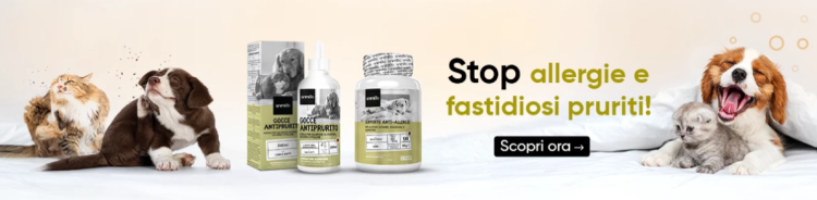 Animigo: Prodotti di Qualità per la Salute e il Benessere degli Animali