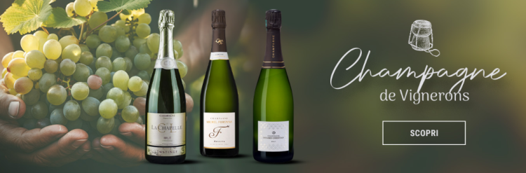 Vinatis: Il Piacere del Buon Vino Online