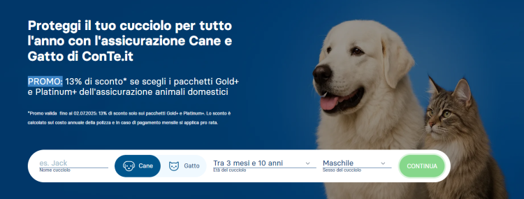 Eleganza e Funzionalità: Lo Stile Unico di Canegatto