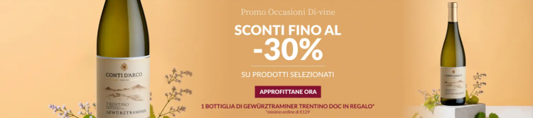 Il fascino autentico del vino italiano: l’esperienza unica di Vinicum