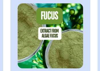 Benessere e forma fisica con giornonotte.top: il sistema completo per ritrovare equilibrio e vitalità