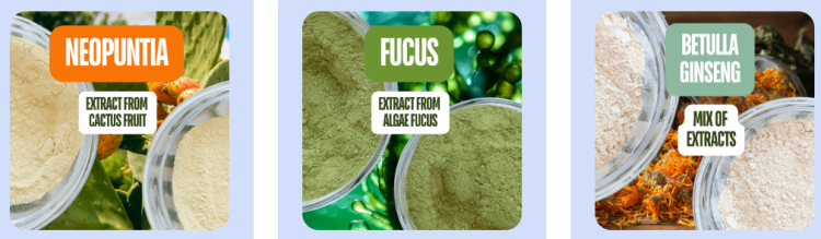 Benessere e forma fisica con giornonotte.top: il sistema completo per ritrovare equilibrio e vitalità