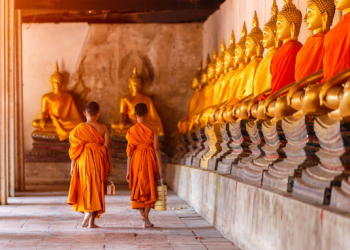 Viaggiare con convenienza e semplicità grazie a lol.travel