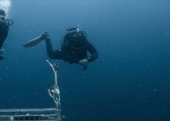 Abbigliamento e accessori di qualità con DeepShop