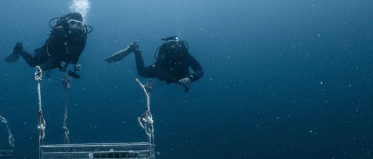 Abbigliamento e accessori di qualità con DeepShop