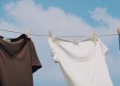 Che cos’è Lilysilk e cosa propone