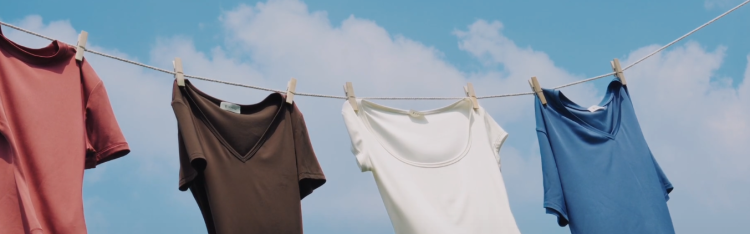 Che cos’è Lilysilk e cosa propone