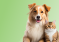 Il mondo di RobinsonPetShop e la cura degli animali domestici
