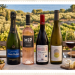 Il mondo del vino secondo Vinatis