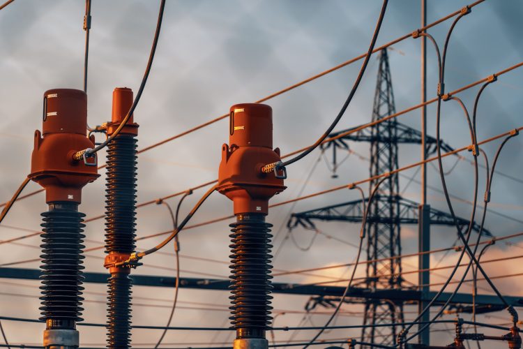 Che cos’è Octopus Energy e cosa propone