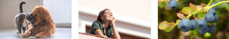 1000Farmacie: Un Ampio Catalogo Per Salute, Benessere E Cura Della Persona