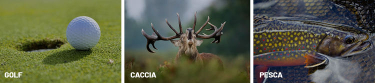 Perché Armería Álvarez è un punto di riferimento per gli appassionati di attività all’aria aperta