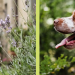 Kippy: tecnologia al servizio della sicurezza degli animali